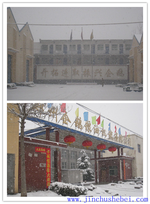 浸出油設(shè)備，預(yù)榨浸出生產(chǎn)線，榨油設(shè)備，精煉設(shè)備