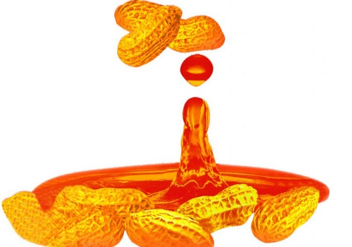 揭秘“濃香型”花生油工藝(圖1) 花生油浸出設(shè)備