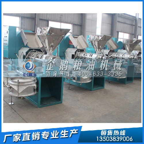 食用油生產(chǎn)加工設備，企鵝糧油機械為客戶提供周到服務