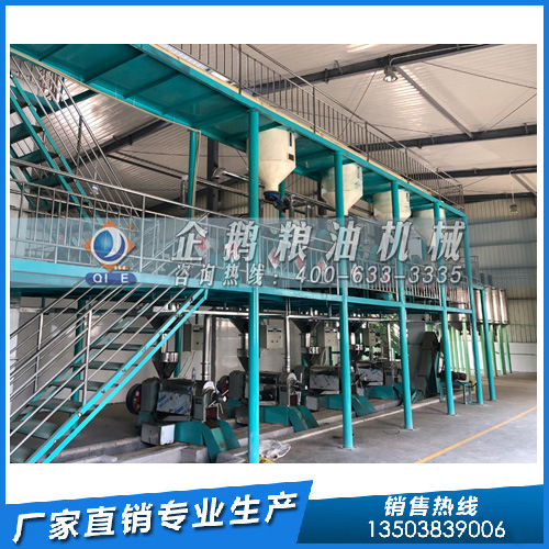 企鵝糧油機械：解析棕櫚油的優(yōu)勢及加工解決方案